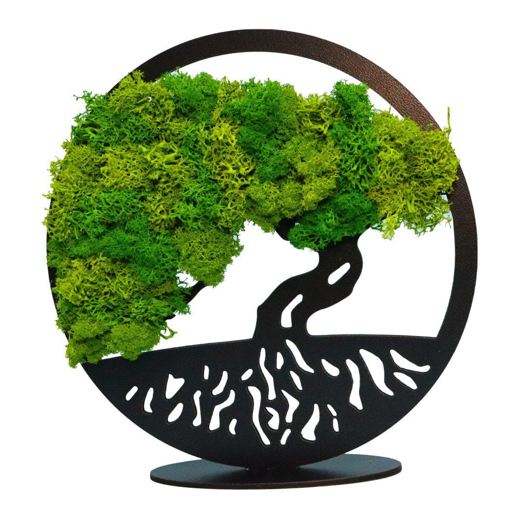 DL002, Tablou Bonsaiul Vietii, Licheni Naturali Stabilizati, Cu Suport, Verde, DL002 - imagine 3