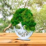 Tablou Copacul Vietii, Licheni Naturali Stabilizati, Cu Suport, Verde, DL005 - imagine 4