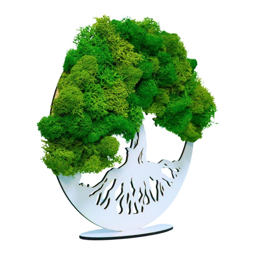 DL005,, Tablou Copacul Vietii, Licheni Naturali Stabilizati, Cu Suport, Verde, DL005 - imagine 2