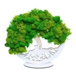 Tablou Copacul Vietii, Licheni Naturali Stabilizati, Cu Suport, Verde, DL005