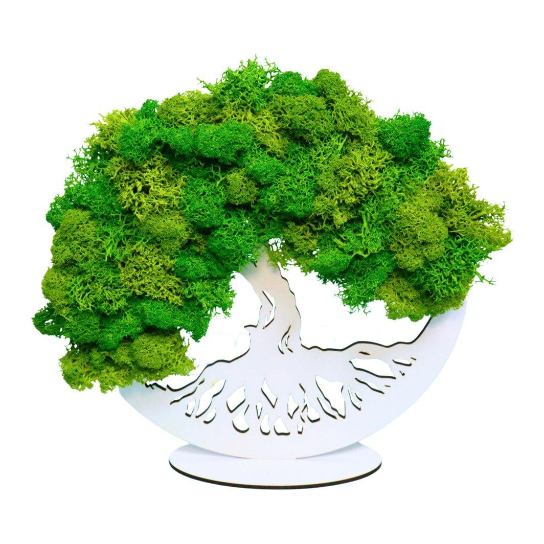 DL005, Tablou Copacul Vietii, Licheni Naturali Stabilizati, Cu Suport, Verde, DL005 - imagine 1