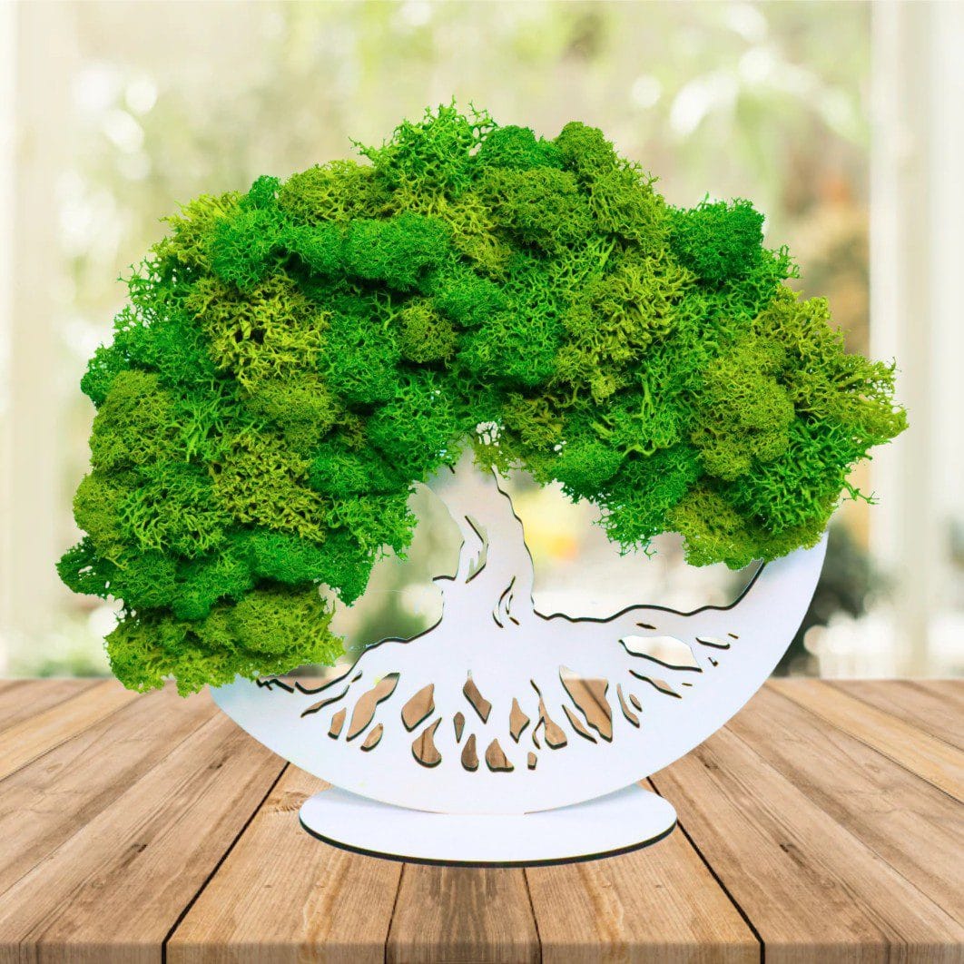 DL005,,,, Tablou Copacul Vietii, Licheni Naturali Stabilizati, Cu Suport, Verde, DL005 - imagine 5