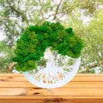 Tablou Copacul Vietii, Licheni Naturali Stabilizati, Verde, DL078 - imagine 4