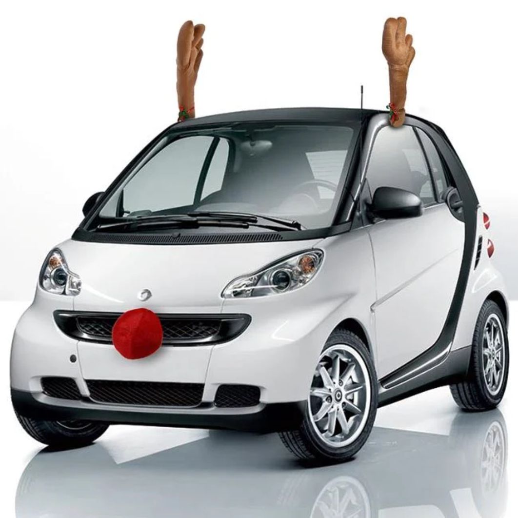 DCJ319 Set Coarne & Nas, Colorat, Decorarea Masinii, DCJ319 - imagine 1