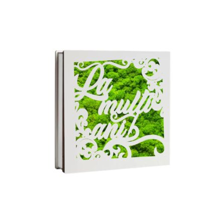 Cutie Cadou Licheni Mesaj La Multi Ani Dl030