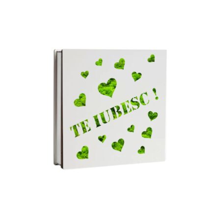 Cutie Licheni Aniversare Cadou Te Iubesc Dl016