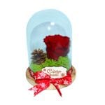 trandafir criogenat rosu