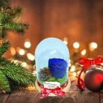 trandafir criogenat albastru