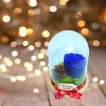 trandafir criogenat albastru