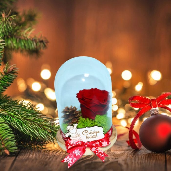 trandafir criogenat rosu