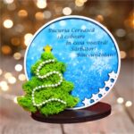 decoratiune licheni craciun