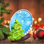 decoratiune licheni craciun