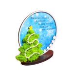 decoratiune licheni craciun