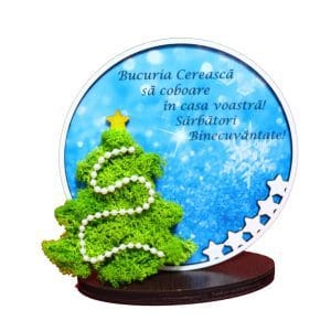 decoratiune licheni craciun