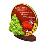 decoratiune licheni craciun