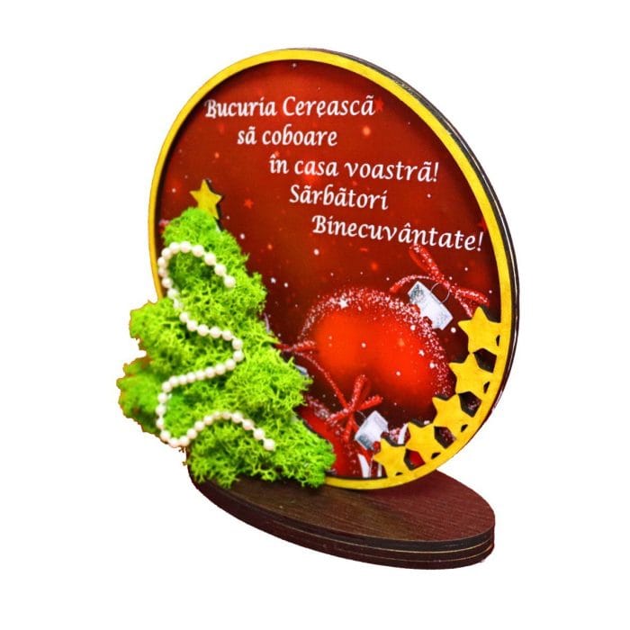decoratiune licheni craciun