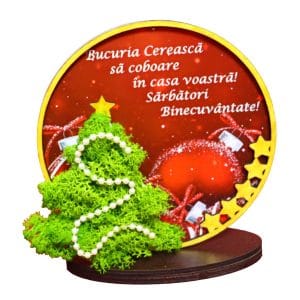 decoratiune licheni craciun