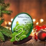 decoratiune licheni craciun