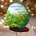 decoratiune licheni craciun