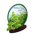 decoratiune licheni craciun