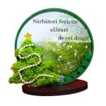 decoratiune licheni craciun