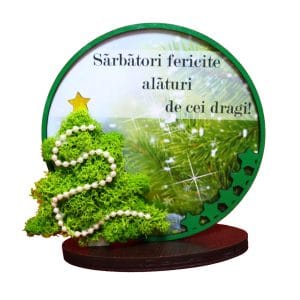 decoratiune licheni craciun