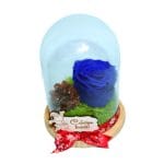 trandafir criogenat albastru