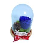 trandafir criogenat in cupola