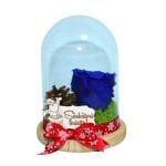 trandafir criogenat in cupola