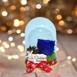 trandafir criogenat in cupola