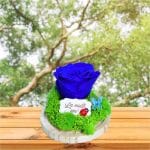 Trandafir Criogenat in Cupola, Albastru , Licheni, La Multi Ani, 16x12cm, AF005 - imagine 4