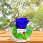 Trandafir Criogenat in Cupola, Albastru , Licheni, La Multi Ani, 16x12cm, AF005 - imagine 5