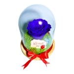 Trandafir Criogenat in Cupola, Albastru , Licheni, La Multi Ani, 16x12cm, AF005