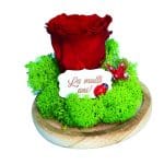 Trandafir Criogenat, Mesaj La Multi Ani, 16x12cm, AF006 - imagine 5