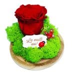 Trandafir Criogenat, Mesaj La Multi Ani, 16x12cm, AF006 - imagine 4