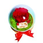 Trandafir Criogenat, Mesaj Te iubesc, 16x12cm, AF008 - imagine 4