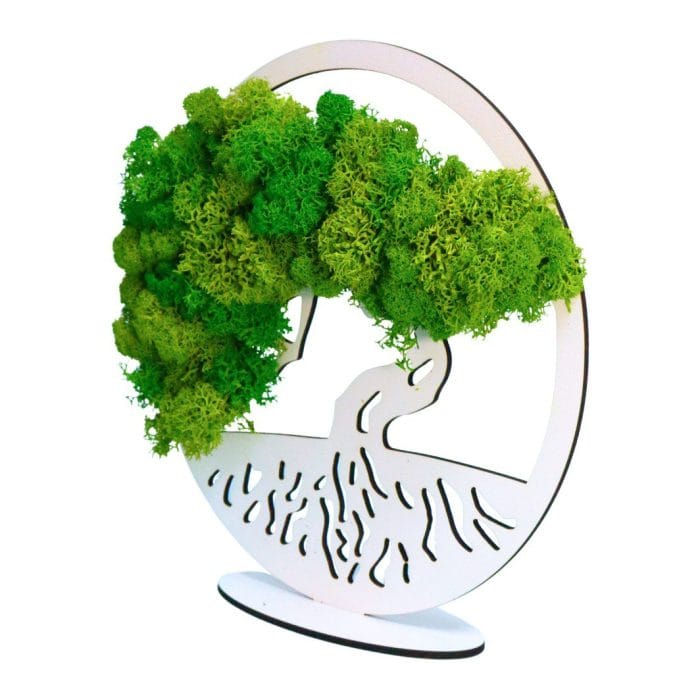 Tablou Bonsaiul Vietii, Licheni Naturali Stabilizati, Cu Suport, Verde, DL001 - imagine 3