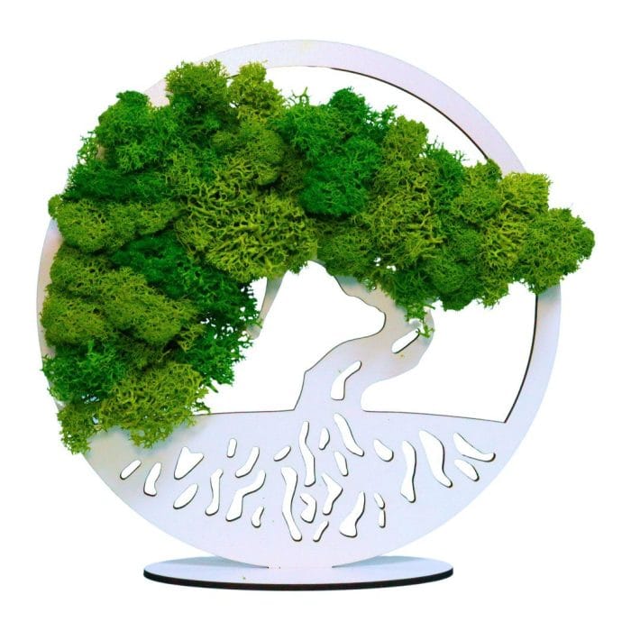 Tablou Bonsaiul Vietii, Licheni Naturali Stabilizati, Cu Suport, Verde, DL001 - imagine 1