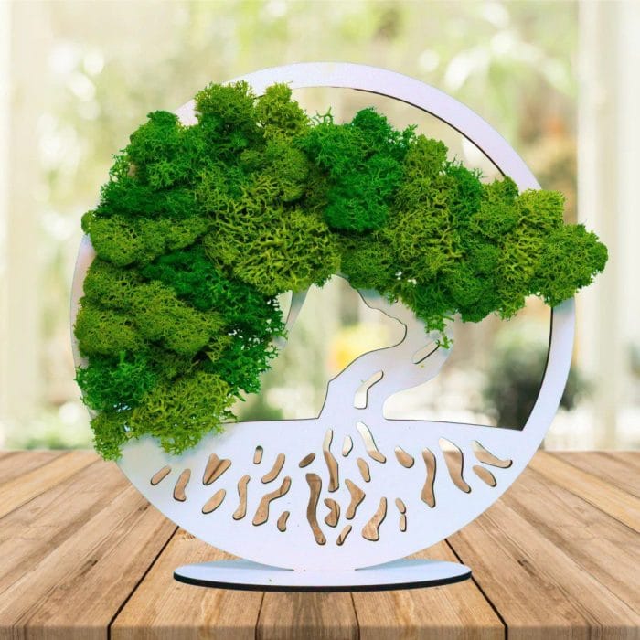 Tablou Bonsaiul Vietii, Licheni Naturali Stabilizati, Cu Suport, Verde, DL001 - imagine 5