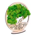 Tablou Bonsaiul Vietii, Licheni Naturali Stabilizati, Cu Suport, Verde, DL003 - imagine 2