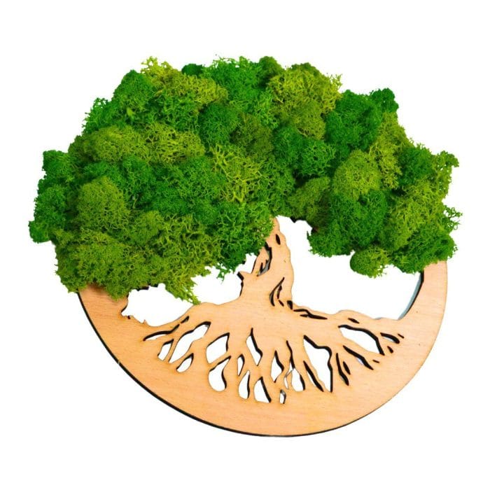 Tablou Copacul Vietii, Licheni Naturali Stabilizati, Verde, DL006 - imagine 3
