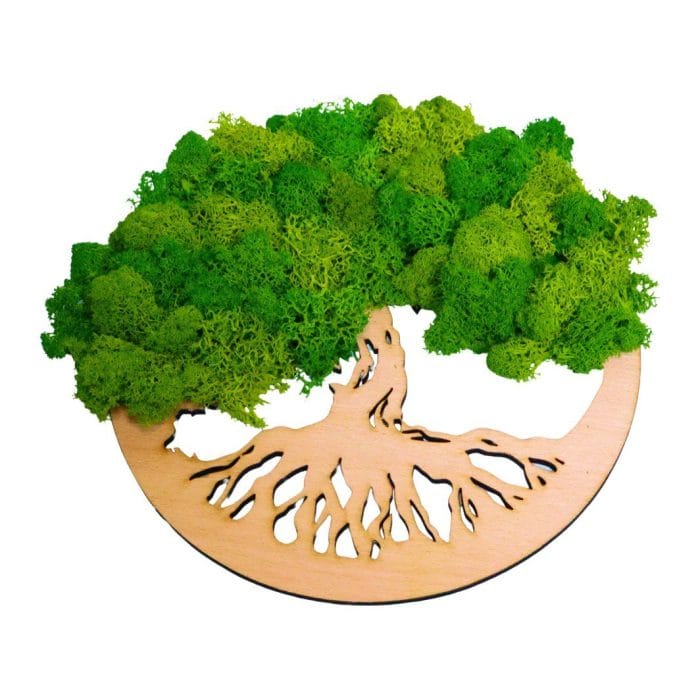 Tablou Copacul Vietii, Licheni Naturali Stabilizati, Verde, DL006 - imagine 1