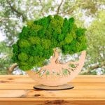 Tablou Licheni Naturali, Copacul Vietii, DL079 - imagine 3