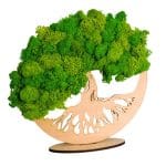 Tablou Licheni Naturali, Copacul Vietii, DL079 - imagine 2