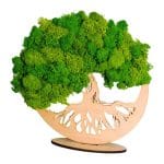 Tablou Licheni Naturali, Copacul Vietii, DL079 - imagine 4