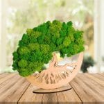 Tablou Licheni Naturali, Copacul Vietii, DL079 - imagine 5