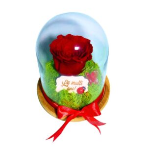 Floare Criogenata Mesaj La Multi Ani 16x12cm Af006