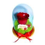 Floare Criogenata Mesaj La Multi Ani 16x12cm Af006 1