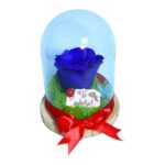 Trandafir Conservat Mesaj Te Iubesc 16x12cm Af007