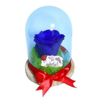 Trandafir Conservat Mesaj Te Iubesc 16x12cm Af007